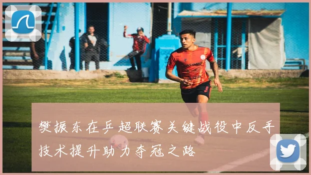 樊振东在乒超联赛关键战役中反手技术提升助力夺冠之路